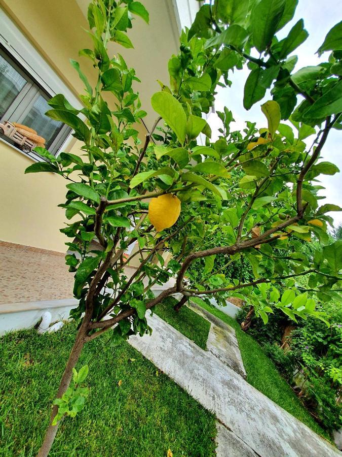 Apartamenty Rodzinne カメナブルナ エクステリア 写真